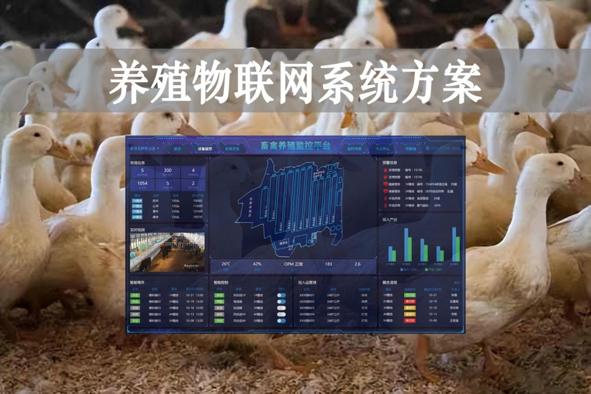 【智慧養(yǎng)殖】數(shù)字經(jīng)濟(jì)時(shí)代到來，養(yǎng)殖物聯(lián)網(wǎng)系統(tǒng)方案來了
