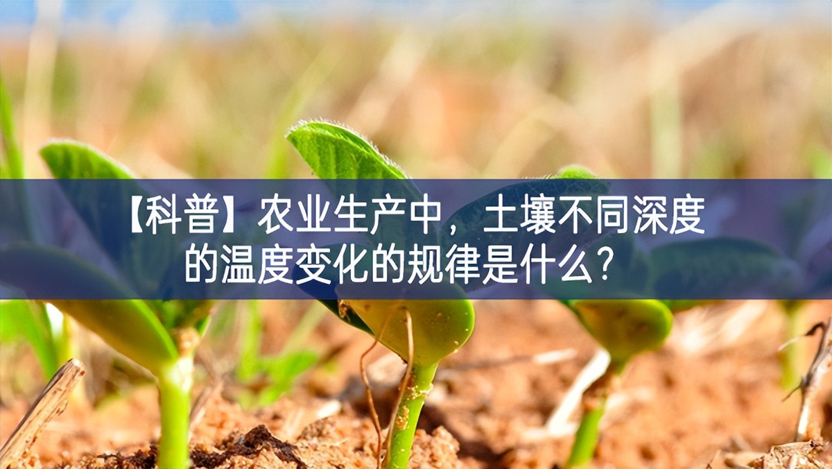 【科普】農(nóng)業(yè)生產(chǎn)中，土壤不同深度的溫度變化的規(guī)律是什么？