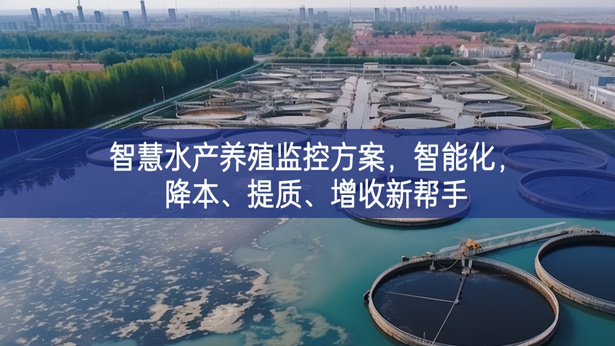 智慧水產(chǎn)養(yǎng)殖監(jiān)控方案，智能化，降本、提質(zhì)、增收新幫手