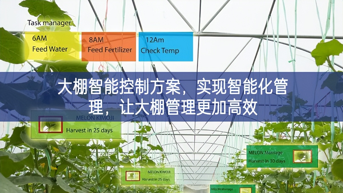 大棚智能控制方案，實現(xiàn)智能化管理，讓大棚管理更加高效