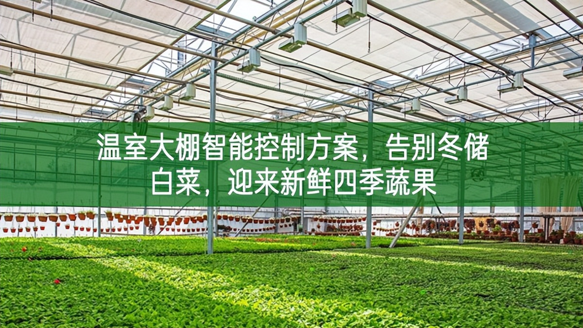 溫室大棚智能控制方案，告別冬儲(chǔ)白菜，迎來(lái)新鮮四季蔬果