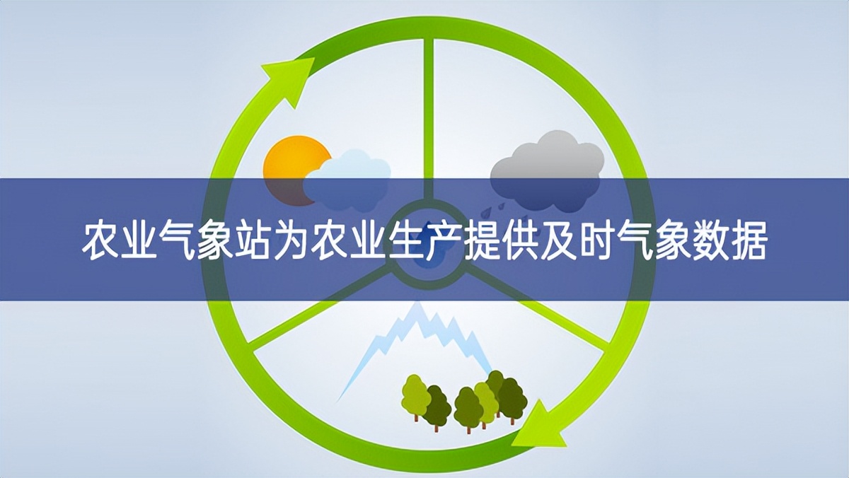 農業(yè)氣象站為農業(yè)生產提供及時氣象數(shù)據(jù)