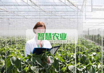 春雷一聲 驚蟄到，聚英智慧農(nóng)業(yè)系統(tǒng)助力農(nóng)業(yè)春耕