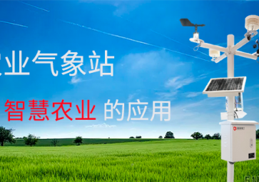 農業(yè)氣象站在智慧農業(yè)中有何作用?