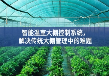 「智慧農(nóng)業(yè)」智能溫室大棚控制系統(tǒng)，解決傳統(tǒng)大棚管理中的難題