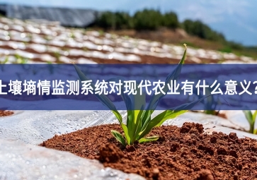 土壤墑情監(jiān)測系統(tǒng)對現(xiàn)代農業(yè)有什么意義？