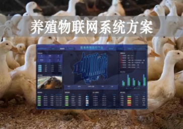 「智慧養(yǎng)殖」數(shù)字經(jīng)濟(jì)時代到來，養(yǎng)殖物聯(lián)網(wǎng)系統(tǒng)方案來了