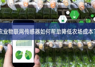 農(nóng)業(yè)物聯(lián)網(wǎng)傳感器如何幫助降低農(nóng)場(chǎng)成本？