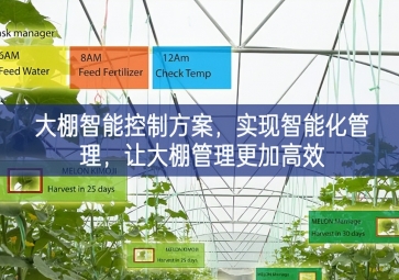「智慧農(nóng)業(yè)」大棚智能控制方案,實(shí)現(xiàn)智能化管理，讓大棚管理更加高效 