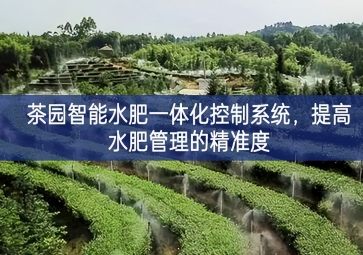 「智慧農(nóng)業(yè)」茶園智能水肥一體化控制系統(tǒng)，提高水肥管理的精準(zhǔn)度
