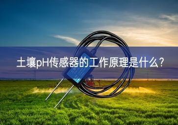 土壤pH傳感器的工作原理是什么？