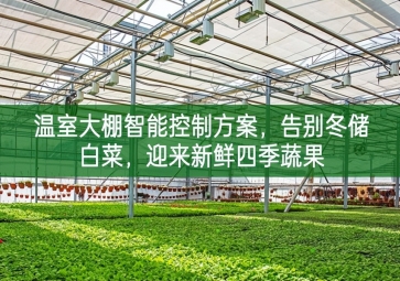 「智慧農(nóng)業(yè)」溫室大棚智能控制方案，告別冬儲(chǔ)白菜，迎來(lái)新鮮四季蔬果