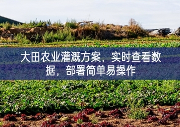 「智慧農(nóng)業(yè)」大田農(nóng)業(yè)灌溉方案，實時查看數(shù)據(jù)，部署簡單易操作