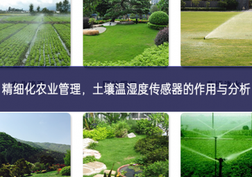 精細(xì)化農(nóng)業(yè)管理，土壤溫濕度傳感器的作用與分析