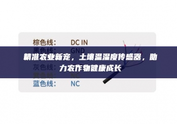 精準(zhǔn)農(nóng)業(yè)新寵，土壤溫濕度傳感器，助力農(nóng)作物健康成長